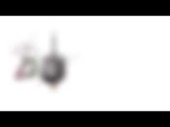 NEMA 8 20mm Diameter Bipolaire Hybride Stepper Motor