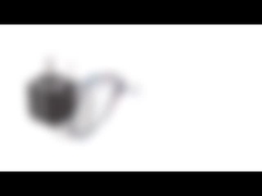 NEMA 8 20mm Diameter Bipolaire Hybride Stepper Motor