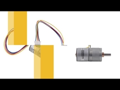 Stepper van 20BY45 10rpm Aangepaste Motor Dubbele Fase 4 Draad voor Urineanalysator