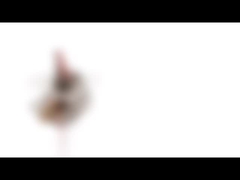 10mm Mini Permanent Magnet Stepper Motor 5v 2 fase 18 Graad