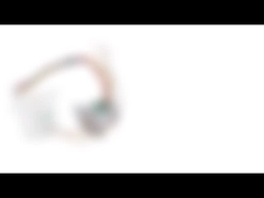 20mm 12v 100 Ω Stepper van de Weerstands Permanente Magneet Motor de Hoek van de 18 Graadstap